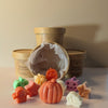 Wax Melts Pumpkin Edition
